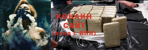 шишки Аркадак