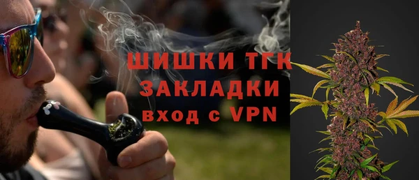 ГАЛЛЮЦИНОГЕННЫЕ ГРИБЫ Арсеньев