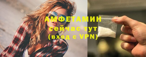 шишки Аркадак