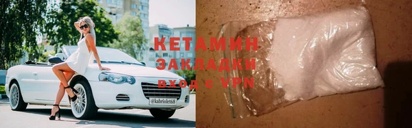 шишки Аркадак