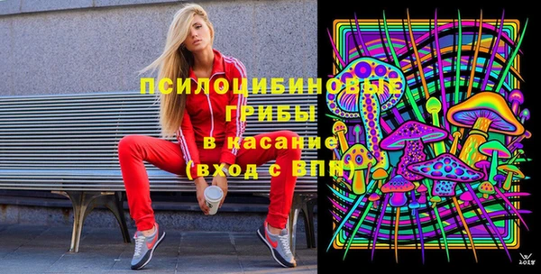 ГАЛЛЮЦИНОГЕННЫЕ ГРИБЫ Арсеньев