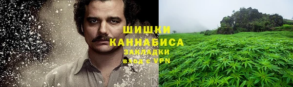 шишки Аркадак