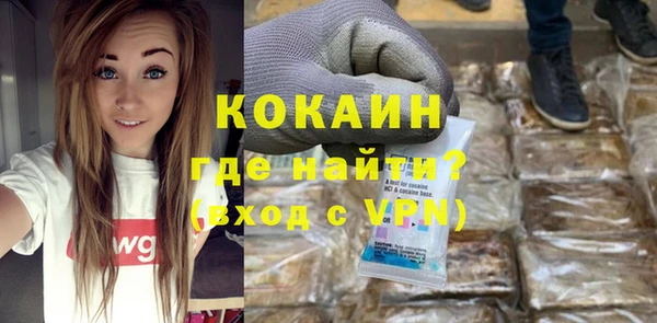 шишки Аркадак
